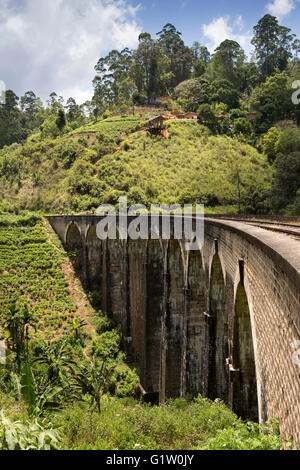 Sri Lanka, viaggiare in treno, Ella, Highland Demodara ferroviaria 9 archi Bridge Foto Stock