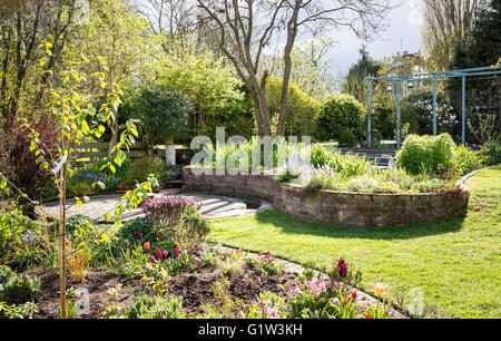 Inglese Spring Garden che mostra la rapida crescita e la progettazione strutturale di un piccolo giardino visto dalla strada Foto Stock