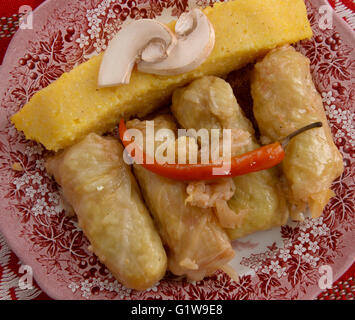 Polenta e sarmale involtini di cavolo ripieni di riso su una piastra Foto Stock