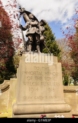 Il Royal Welch Fusiliers War Memorial a Wrexham town center Foto Stock