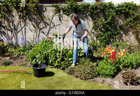 Donna anziana in pensione di vecchiaia titolare di pensione o di rendita lavorando scavando il suo giardino in primavera meteo sunshine Foto Stock