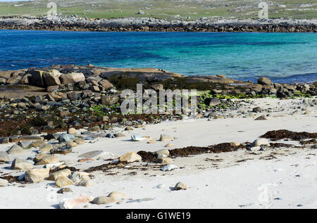 Sulla spiaggia di Isola Omey ,Connemara, nella contea di Galway, Irlanda Foto Stock