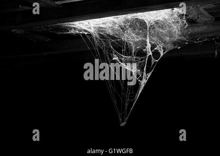 Ragnatela o spider web isolati su sfondo nero orrore triangolo Foto Stock