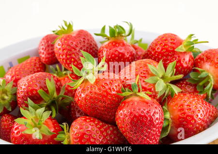 Fragole fresche in una ciotola bianco contro uno sfondo bianco Foto Stock