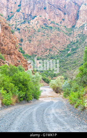 Un wet Nuwekloofpas (nuova valle pass) discendente nel Baviaanskloof (valle di babbuino) durante una tempesta di pioggia Foto Stock