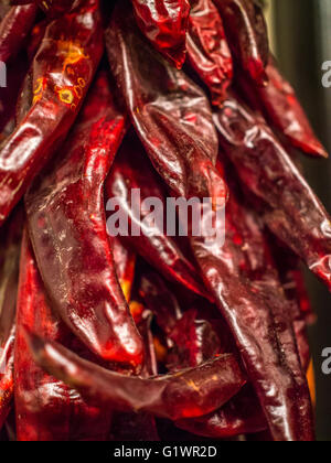 Close-up di secchi peperoncino rosso in un ristra Foto Stock