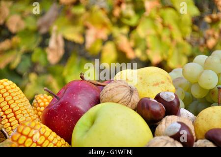 Dettaglio del composto decorativo colorato autunno frutta e verdura Foto Stock