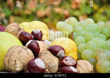 Dettaglio del composto decorativo colorato autunno frutta e verdura Foto Stock