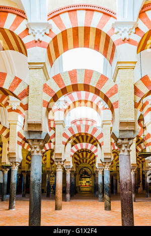 Hypostyle Hall nella cattedrale di Córdoba, Andalusia, Spagna, Europa Foto Stock