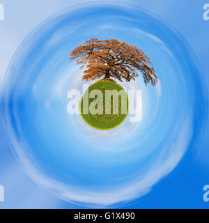 Pianeta di soli orange autumn tree su un prato verde e cielo blu con nuvole. Piccolo pianeta con erba verde, concetto di ecologia. Foto Stock