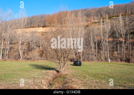 Prati da fieno e pioppeti. Foto scattata a La Pola De Gordon, provincia di León, Spagna Foto Stock