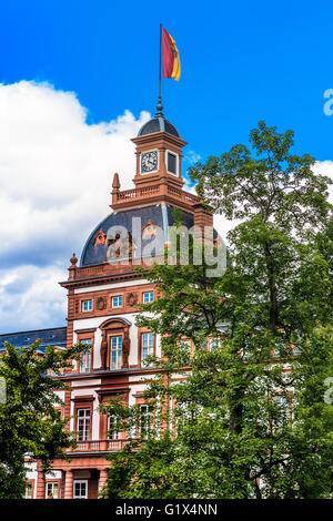 Il castello di Phillipsruhe Parco sulle rive del fiume Main in Hanau, Germania Foto Stock