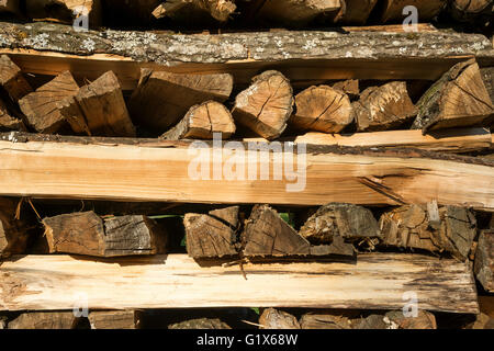 Legna da ardere impilata, registri, Baden-Württemberg, Germania Foto Stock