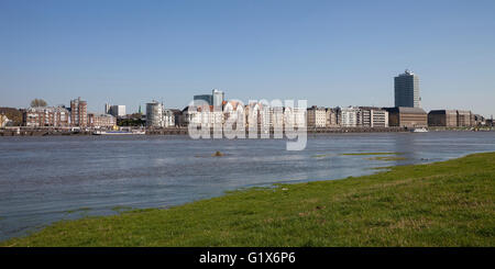 La passeggiata sul lungofiume del Reno, Düsseldorf, Renania settentrionale-Vestfalia, Germania Foto Stock