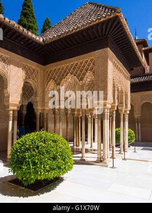 Arabesque architettura moresca, Corte dei Leoni, Patio de Los Leones, Nasrid, Alhambra, provincia di Granada, Andalusia Foto Stock