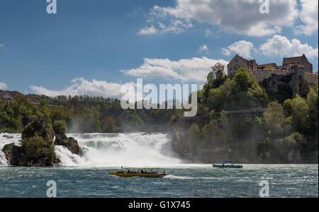 Rheinfall, Cascate del Reno con Schloss Laufen a Sciaffusa, Cantone di Sciaffusa, Svizzera Foto Stock