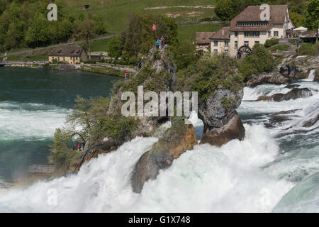 Rheinfall, Cascate del Reno vicino a Sciaffusa, Cantone di Sciaffusa, Svizzera Foto Stock