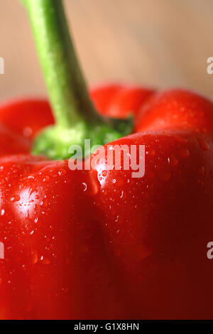 Foto macro di una lavata di pepe rosso. Foto Stock