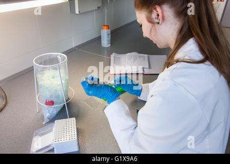 Associare scientifica il pipettaggio in laboratorio di genetica. Foto Stock