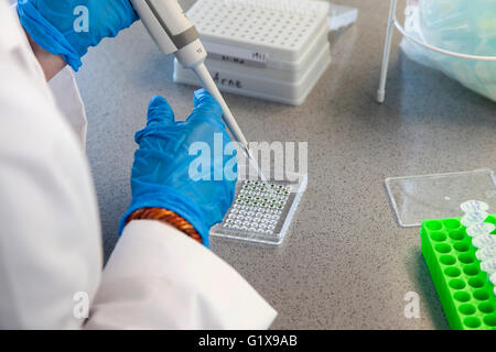 Associare scientifica il pipettaggio in laboratorio di genetica. Foto Stock