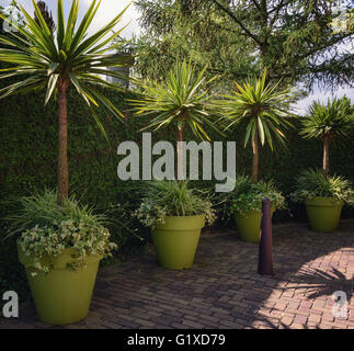 Idee decorazioni di vasi di fiori nel giardino. Foto Stock