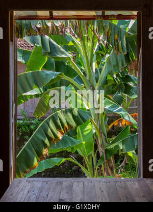 Vista da una finestra del ristorante a Yogyakarta, Java, Indonesia. Foto Stock