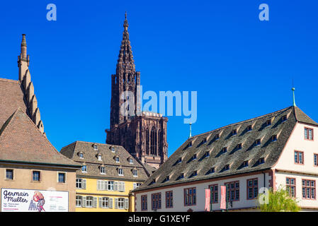 Ancienne Douane, ex casa doganale, il museo storico e la cattedrale di Strasburgo, Alsazia, Francia, Europa Foto Stock