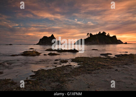 WA12616-00...WASHINGTON - tramonto sull'Oceano Pacifico dal punto Toleak nel Parco Nazionale di Olympic. Foto Stock