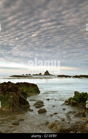 WASHINGTON - Sunrise su un mattino nuvoloso al punto Toleak sulla costa selvaggia nel Parco Nazionale di Olympic. Foto Stock