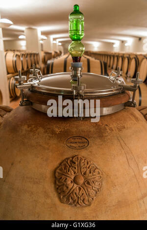 La fermentazione del vino rosso 'Dino' in anfore in cantina toscana Fontodi, Panzano (Greve in Chianti) Foto Stock