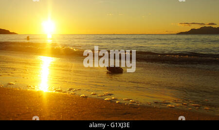 Un tramonto meraviglioso oltre oceano indiano sulle Seychelles Foto Stock