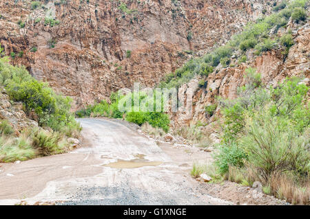 Un wet Nuwekloofpas (nuova valle pass) attraversando un piccolo fiume mentre scendendo nell'Baviaanskloof (valle di babbuino) Foto Stock