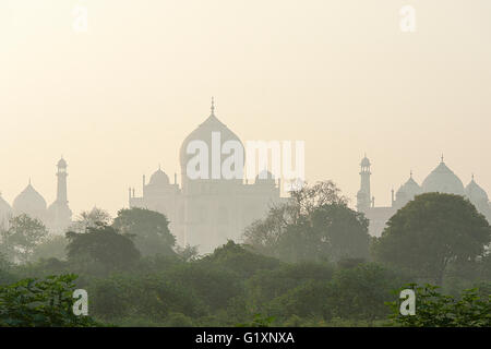 Taj Mahal visualizza durante la mattinata nebbiosa dal campo di grano vicino fiume Yamuna banca. Foto Stock