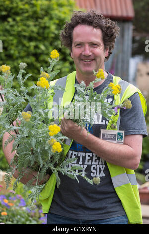 Londra, Regno Unito. Il 20 maggio 2016. Giardino irlandese designer Diarmuid Gavin che ha progettato il Harrods British eccentrici giardino. Sono in corso i preparativi per la mostra Giardini e le composizioni floreali della RHS Chelsea Flower Show. Il 2016 Chelsea Flower Show apre al pubblico il Martedì, 24 maggio 2016. Credito: Immagini vibranti/Alamy Live News Foto Stock