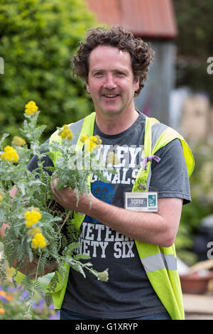 Londra, Regno Unito. Il 20 maggio 2016. Giardino irlandese designer Diarmuid Gavin che ha progettato il Harrods British eccentrici giardino. Sono in corso i preparativi per la mostra Giardini e le composizioni floreali della RHS Chelsea Flower Show. Il 2016 Chelsea Flower Show apre al pubblico il Martedì, 24 maggio 2016. Credito: Immagini vibranti/Alamy Live News Foto Stock