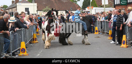 Wickham, Hampshire, Regno Unito. Il 20 maggio 2016. Festaioli e gli amanti degli animali si sono rivelati in numeri per questo anno di Wickham Fiera Cavalli. La manifestazione annuale porta migliaia di persone a Hampshire ogni anno per prendere parte a cavallo attività correlate. Le strade del villaggio sono chiuse per tutto il giorno e le autorità stanno lavorando insieme per garantire la manifestazione è riuscita. Credito: uknip/Alamy Live News Foto Stock