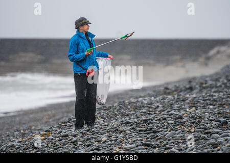 Aberystwyth Wales UK, Sabato 21 Maggio 2016 UK meteo: una donna hardy volontario viene fuori sotto la pioggia su un umido e miserabili sabato mattina per contribuire a pulire Tanybwlch beach in Aberystwyth. Il popolo, tutti i sostenitori della locale "Aberystwyth Beach Amici" gruppo di Facebook, incontro regolarmente fino a rimuovere le centinaia di pezzi di plastica e di altri rifiuti lavato fino o deliberatamente gettati sulle spiagge intorno a Aberystwyth Photo credit: Keith Morris / Alamy Live News Foto Stock