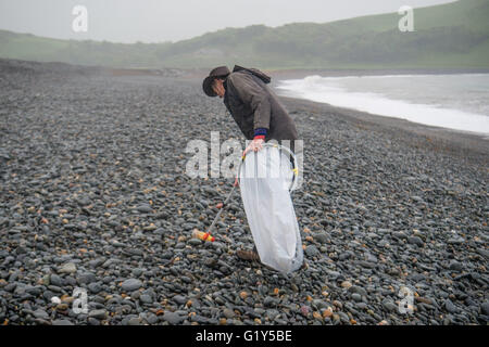 Aberystwyth Wales UK, Sabato 21 Maggio 2016 UK meteo: un ardito volontario viene fuori sotto la pioggia su un umido e miserabili sabato mattina per contribuire a pulire Tanybwlch beach in Aberystwyth. Il popolo, tutti i sostenitori della locale "Aberystwyth Beach Amici" gruppo di Facebook, incontro regolarmente fino a rimuovere le centinaia di pezzi di plastica e di altri rifiuti lavato fino o deliberatamente gettati sulle spiagge intorno a Aberystwyth Photo credit: Keith Morris / Alamy Live News Foto Stock