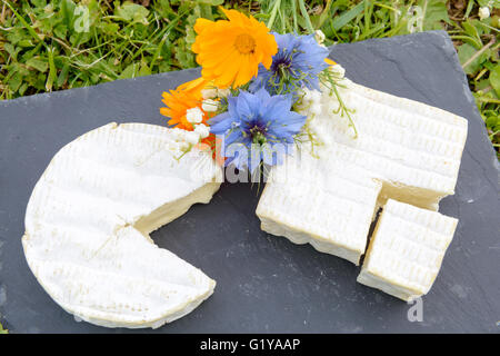 Un normandie formaggio francese su una piastra con fiori Foto Stock