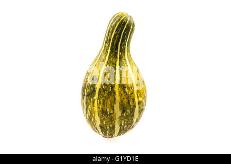 Un insolito cercando il gourd su sfondo bianco Foto Stock