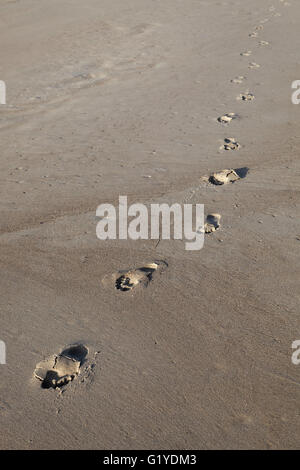 A piedi nudi impronte sulla spiaggia in sabbia, Caloundra, Queensland, Australia Foto Stock