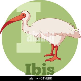 ABC Cartoon Ibis Illustrazione Vettoriale