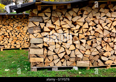 Pila di tronchi per legna da ardere stagionatura sotto il tetto dello stagno Foto Stock