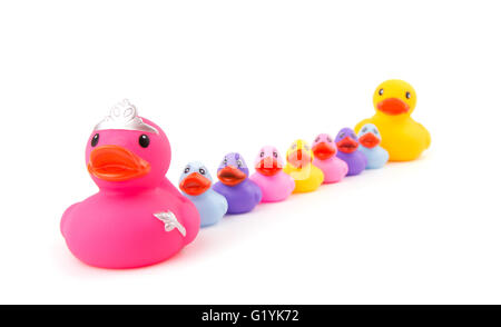 Madre rubber duck che conduce i suoi figli e il papà rubber duck in un singolo file; su bianco Foto Stock