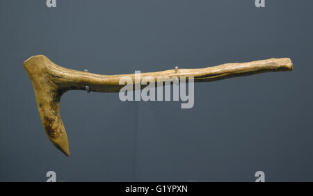 Corno di cervo pala. Dissotterrato da Fangshang, Pechino. Metà del XII BC- metà del decimo BC. Pechino Capitale Museo. Foto Stock