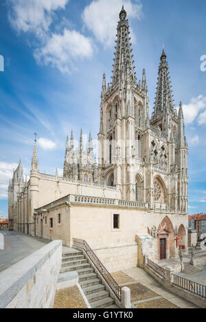 Camino de Santiago cammino di pellegrinaggio da St Jean Pied de Port, la Francia a Burgos Spagna. Foto Stock