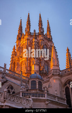 Camino de Santiago cammino di pellegrinaggio da St Jean Pied de Port, la Francia a Burgos Spagna. Foto Stock