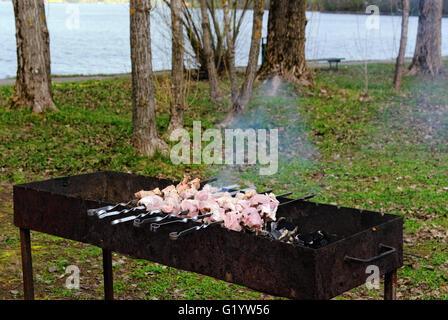 Kebab su spiedi grigliate barbecue sulla griglia. Erba verde e bacino idrico in background. Foto Stock