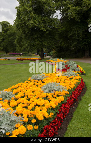 Giardini della valle, Harrogate, nello Yorkshire, Inghilterra - splendido parco con aiuole fiorite, strisce di prato e la gente a piedi. Foto Stock