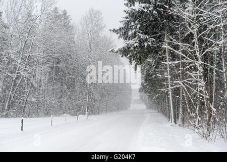Paesaggio Innevato in Engelberg sulle Alpi Svizzere Foto Stock